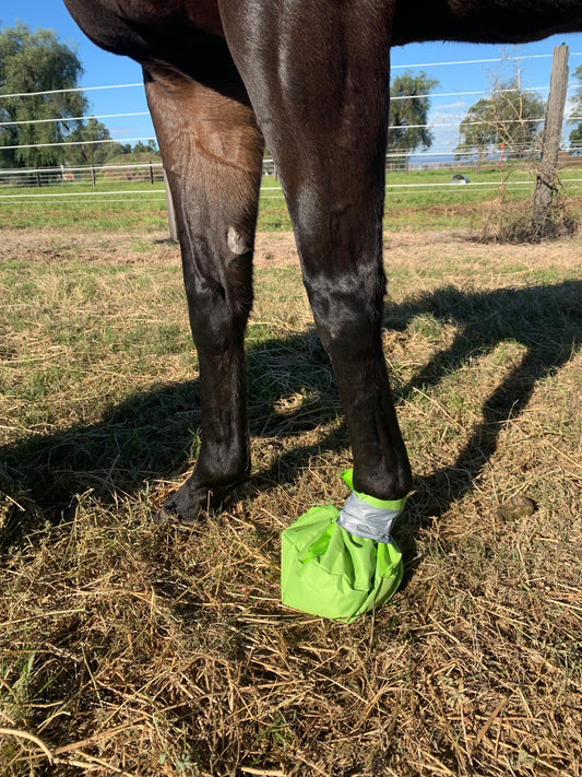 Hoof Soaking Bucket