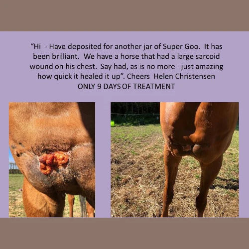 Equine Super Goo Topical