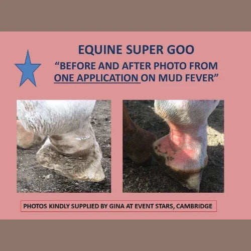 Equine Super Goo Topical