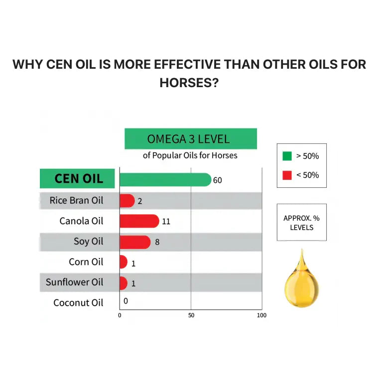 CEN Oil 4.5L